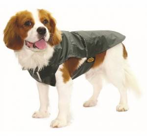 Cappottino Pet
